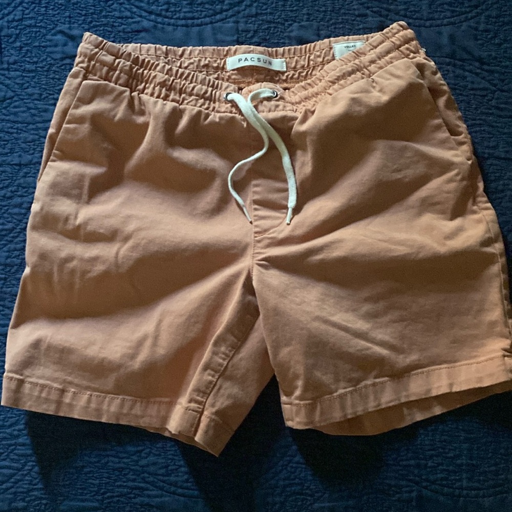 Pacsun volley shorts
